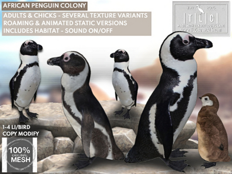 Second Life Marketplace - African penguin colony